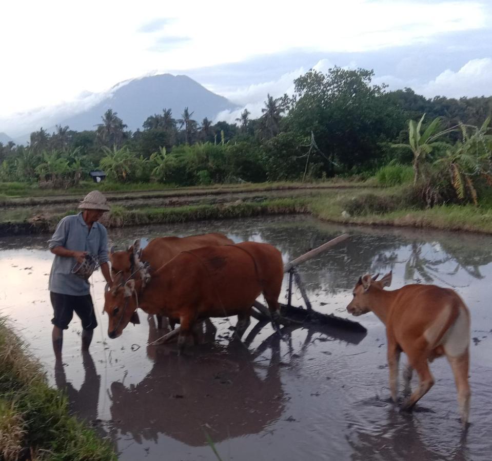 Pondok Diana Arta Jasri Quarto foto